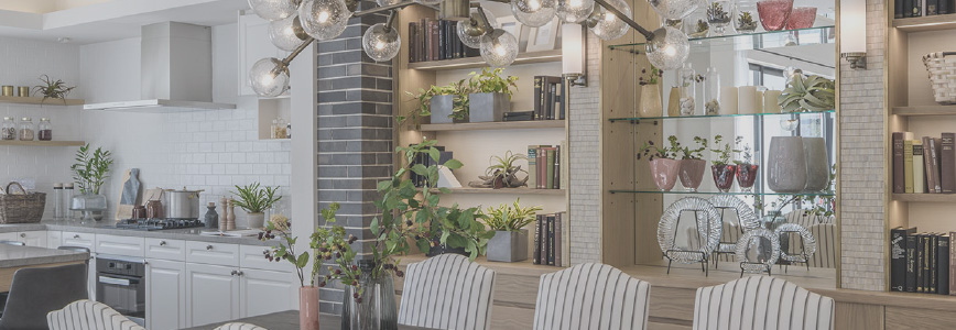 九州　エリア情報