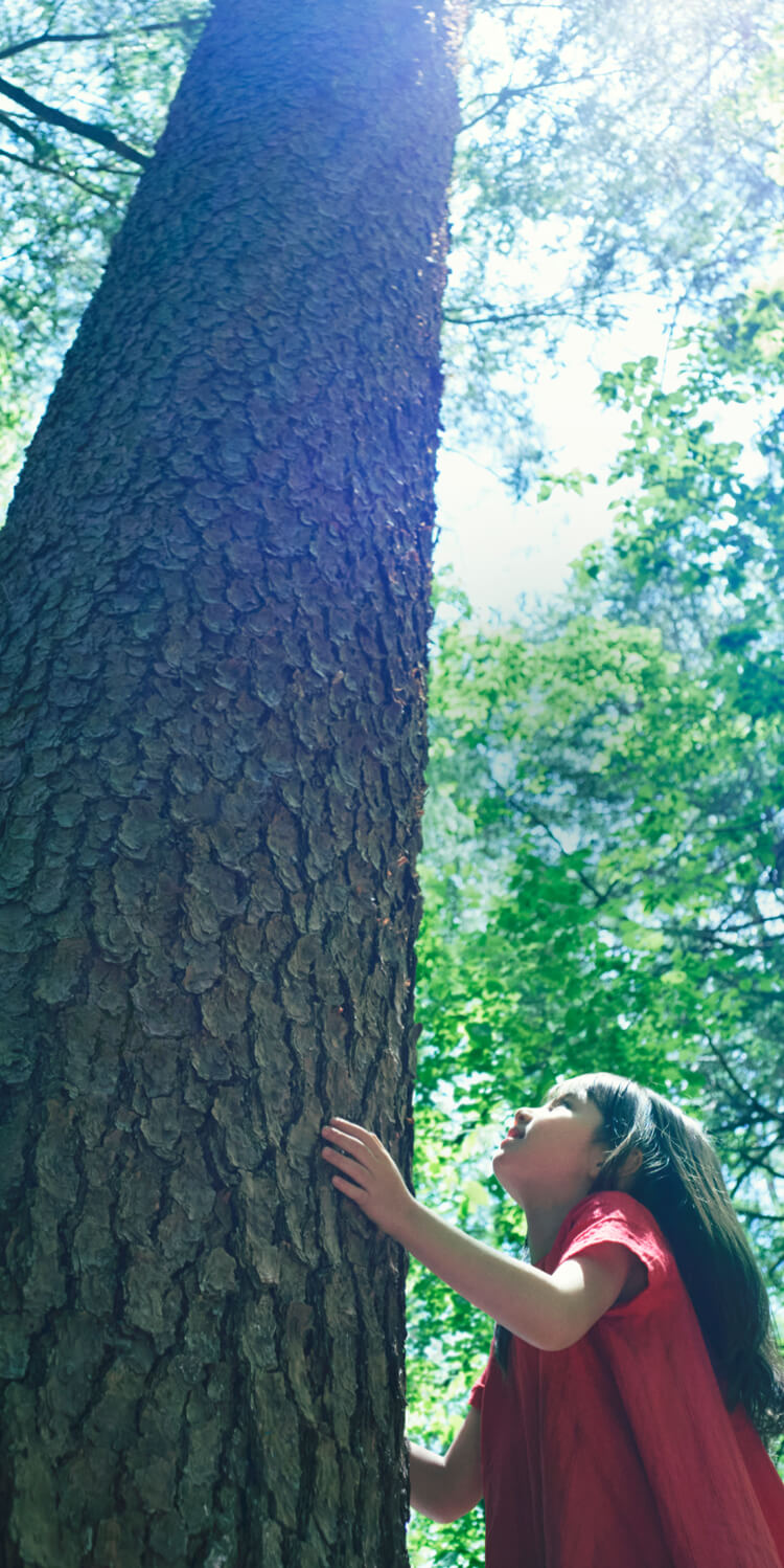 公式 三井ホーム