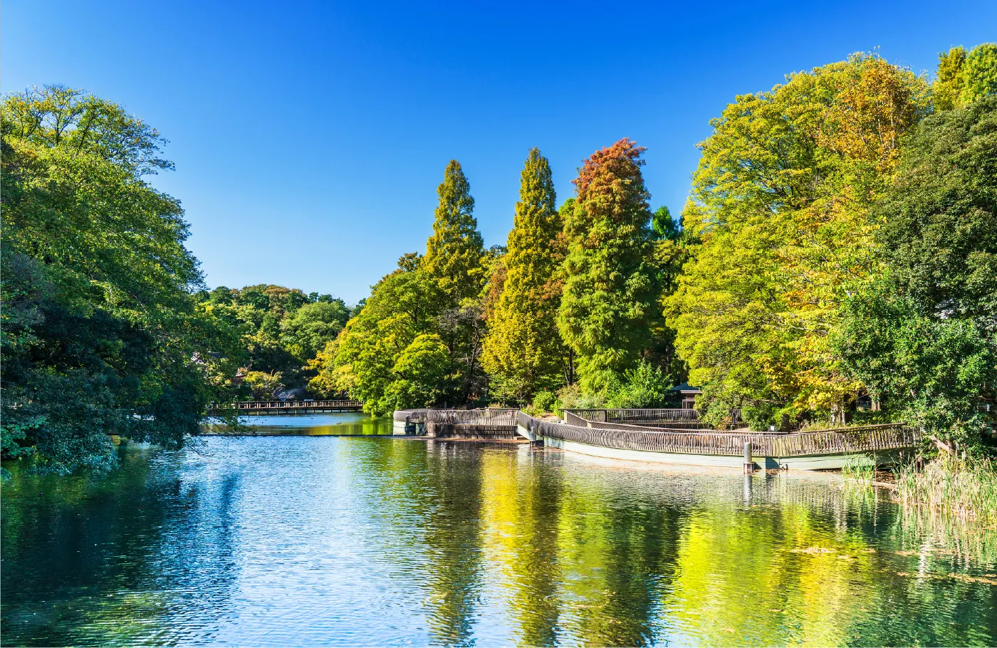 井の頭恩賜公園