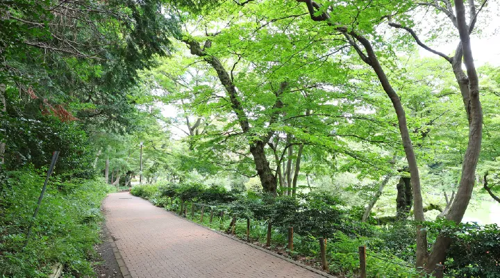 遊歩道