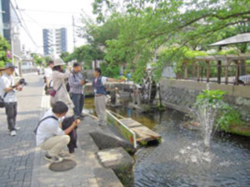 水辺での撮影会