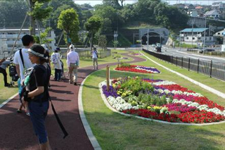 三島市内の「地域花壇」