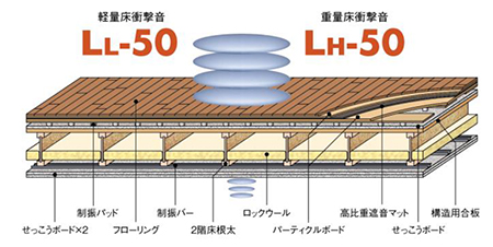 Mute50断面図