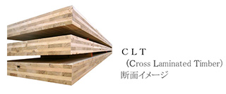 CLT（Cross Laminated Timber）断面イメージ