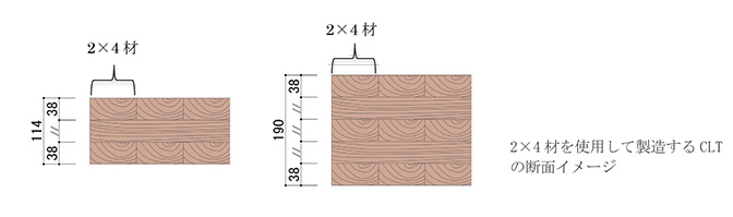 2×4材を使用して製造するCLTの断面イメージ