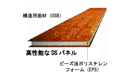 DSパネル図