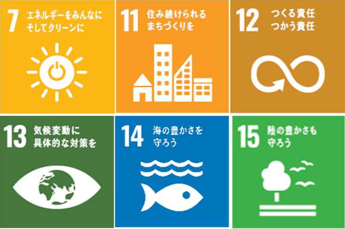 SDGs