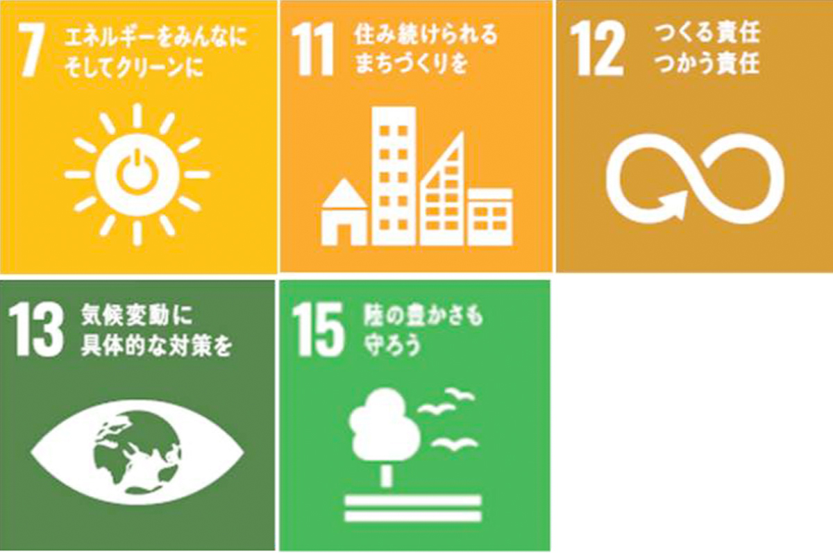 SDGs