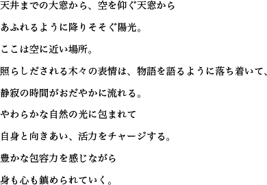 天井までの大窓から、空を仰ぐ天窓からあふれるように降りそそぐ陽光。