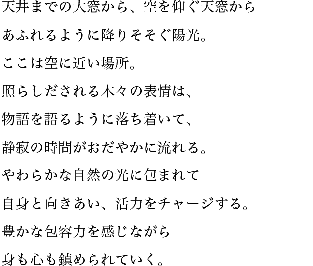 天井までの大窓から、空を仰ぐ天窓からあふれるように降りそそぐ陽光。