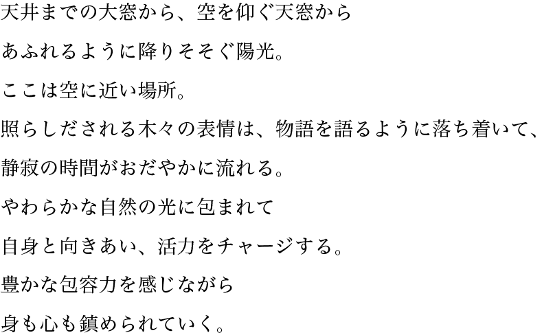 天井までの大窓から、空を仰ぐ天窓からあふれるように降りそそぐ陽光。