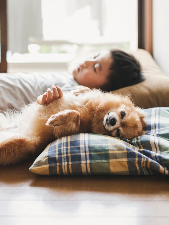 モーダルを開く