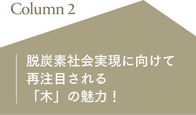 Column2 脱炭素社会実現に向けて再注目される「木」の魅力！