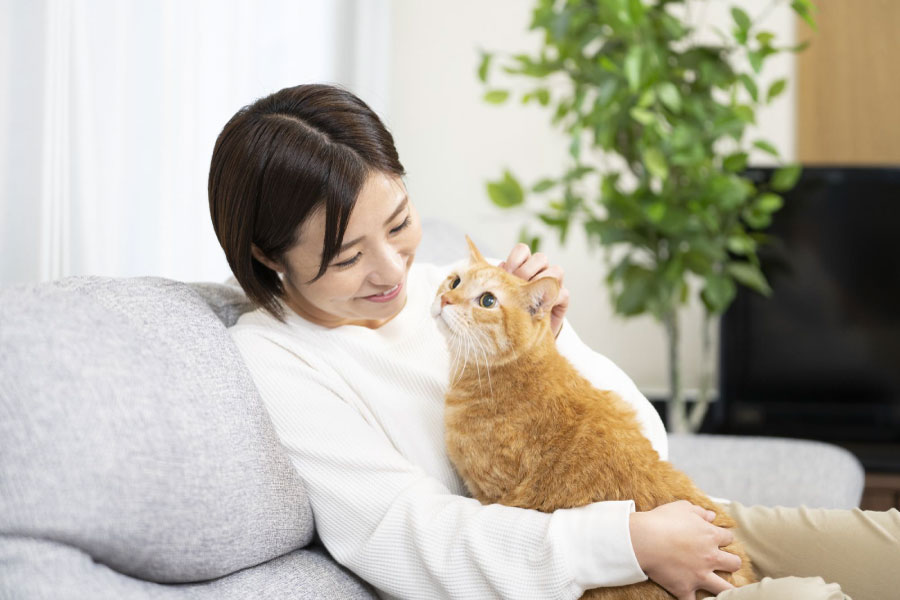 リビングで猫を抱いてほほ笑む人