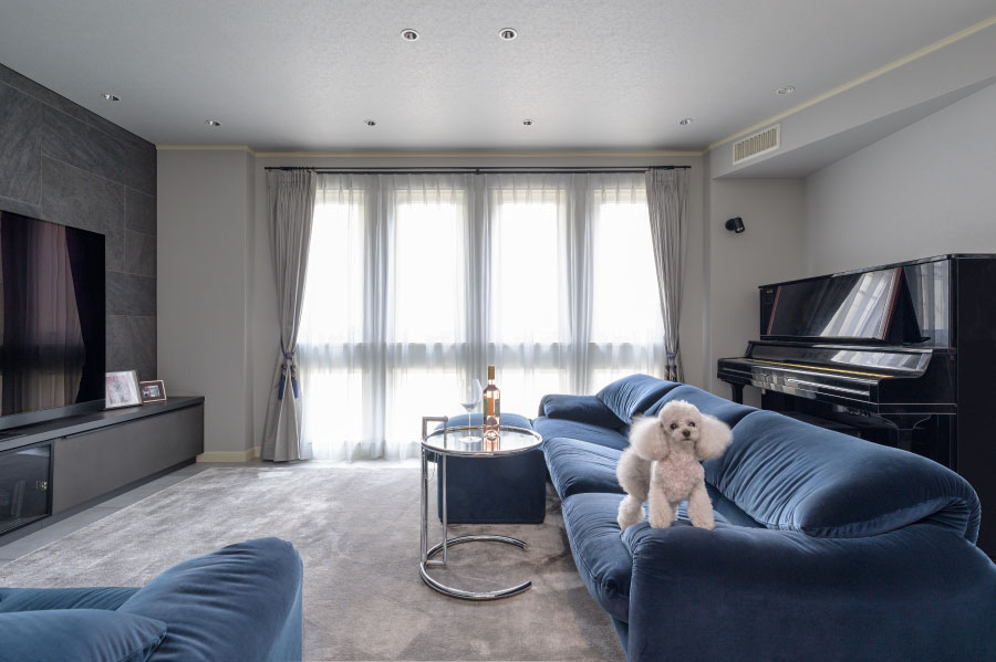 三井ホームの住宅で白い小型犬がこちらを見ている画像