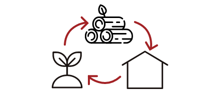 脱炭素かつサステナブルな資源「木」